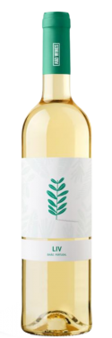 vk54-vinho-verde-organic-vinkind-white-wine