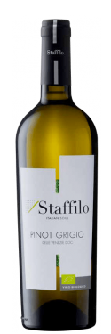 1674726822Pinot-Grigio-min-kopie